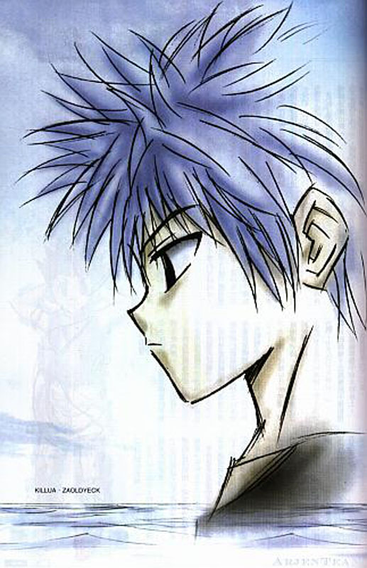 Otaku Gallery  / Anime e Manga / Hunter x Hunter / Illustrazioni / img (21).jpg